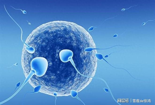 米乐美国新研究：女性患子宫肌瘤可能和“无处不在的化学品”有关(图4)