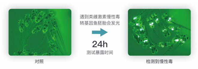 行业盛会 小鱼亲测出席五省一米乐市日化联合会议 应用创新技术赋能大日化(图7) 行业盛会 小鱼亲测出席五省一米乐市日化联合会议 应用创新技术赋能大日化(图7)