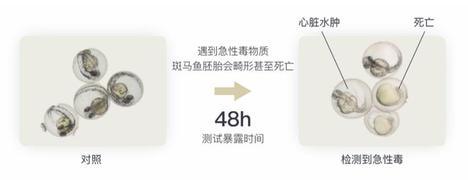 行业盛会 小鱼亲测出席五省一米乐市日化联合会议 应用创新技术赋能大日化(图8) 行业盛会 小鱼亲测出席五省一米乐市日化联合会议 应用创新技术赋能大日化(图8)