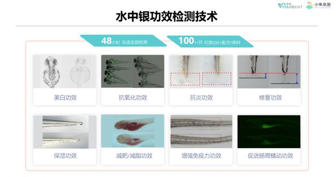 行业盛会 小鱼亲测出席五省一米乐市日化联合会议 应用创新技术赋能大日化(图10) 行业盛会 小鱼亲测出席五省一米乐市日化联合会议 应用创新技术赋能大日化(图10)