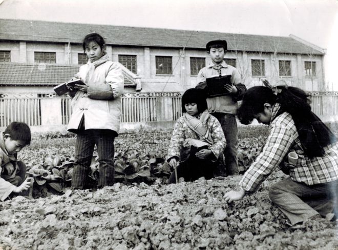 米乐183幅历史图像展示“沪郊骏马”风采就在—— 乃清叙史(图4)