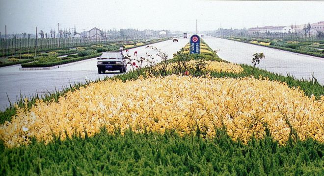 米乐183幅历史图像展示“沪郊骏马”风采就在—— 乃清叙史(图10)
