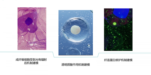 突破米乐“内容困境”赢得市场的科学故事是怎么诞生的？(图4)