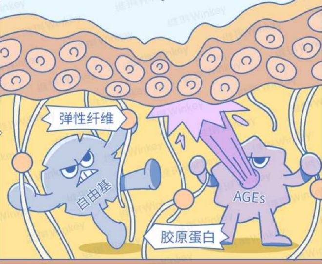 四年来我逢人就推抗老面霜升级了堪比大牌值得你入手！(图3)