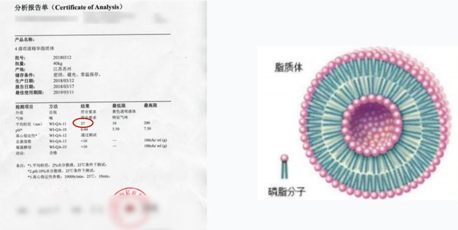 四年来我逢人就推抗老面霜升级了堪比大牌值得你入手！(图13)