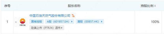 仅用1个月！中石油成立3家新公司全面发力光储充(图1)