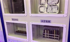 2024年化妆品行业市场发展现状及未来发展前景分析(图4)