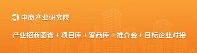 2024年中国化妆品行业市场前景预测研究报告(图33)